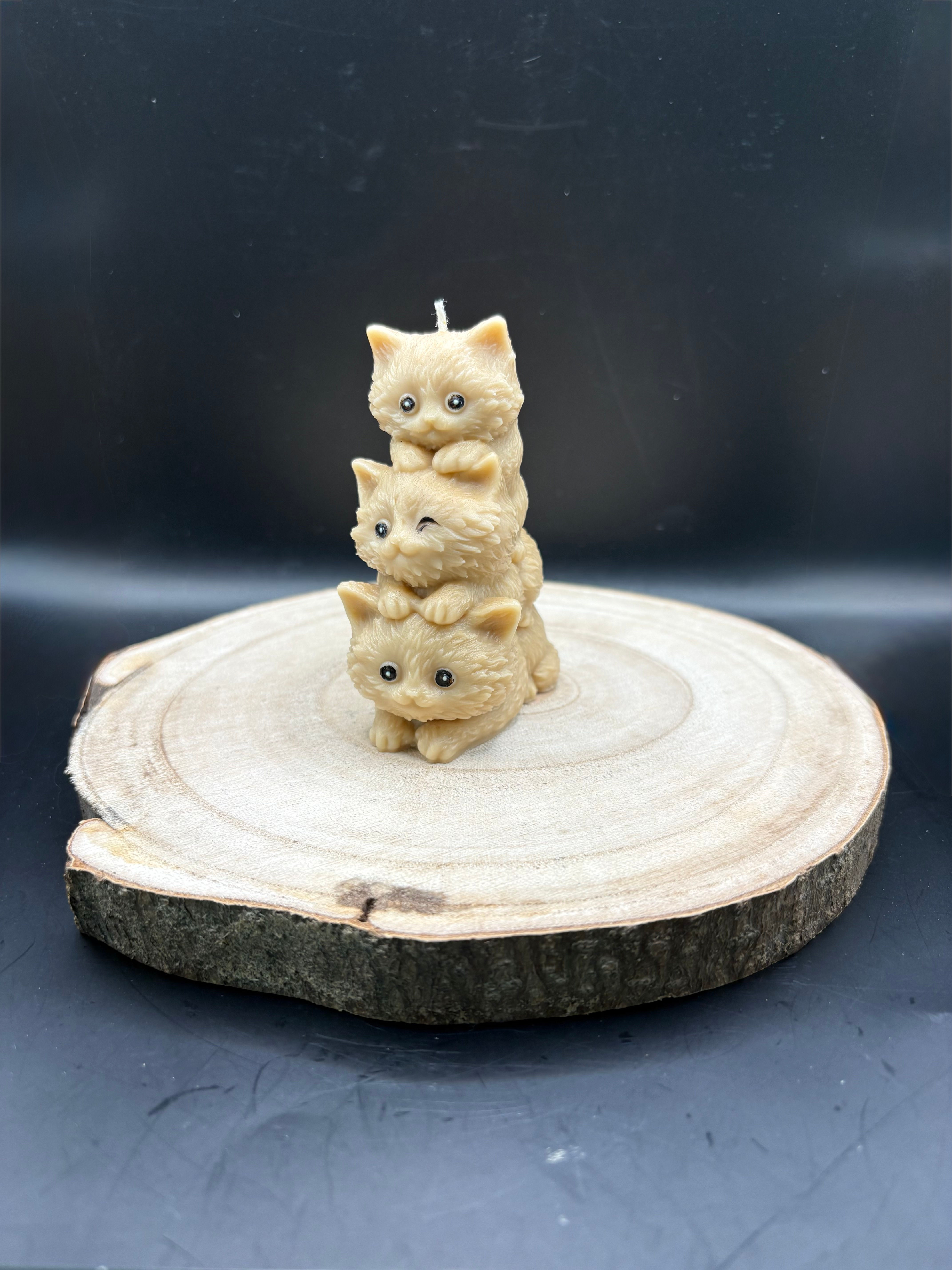 süsse Kätzchen