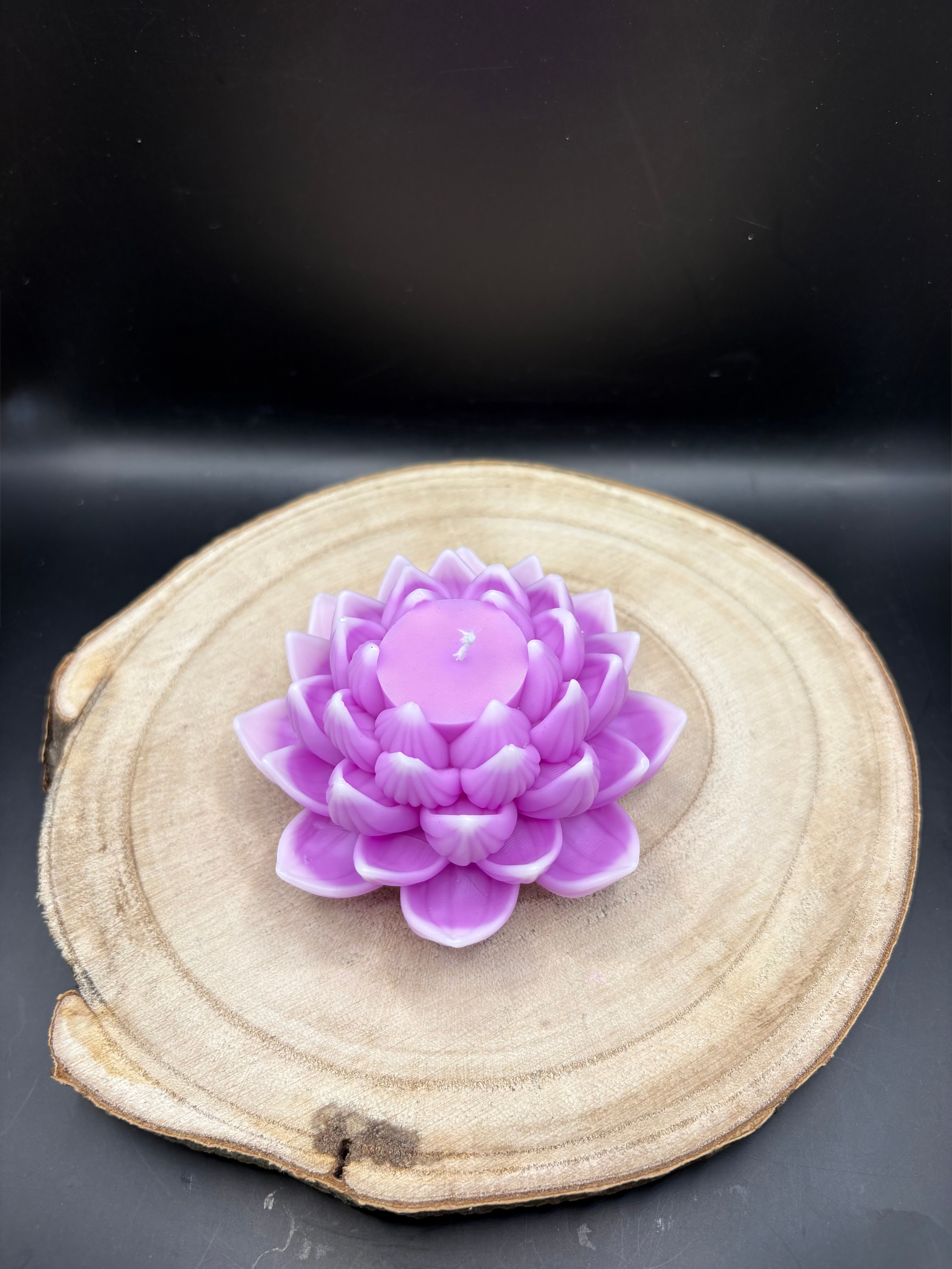 Lotus Blume