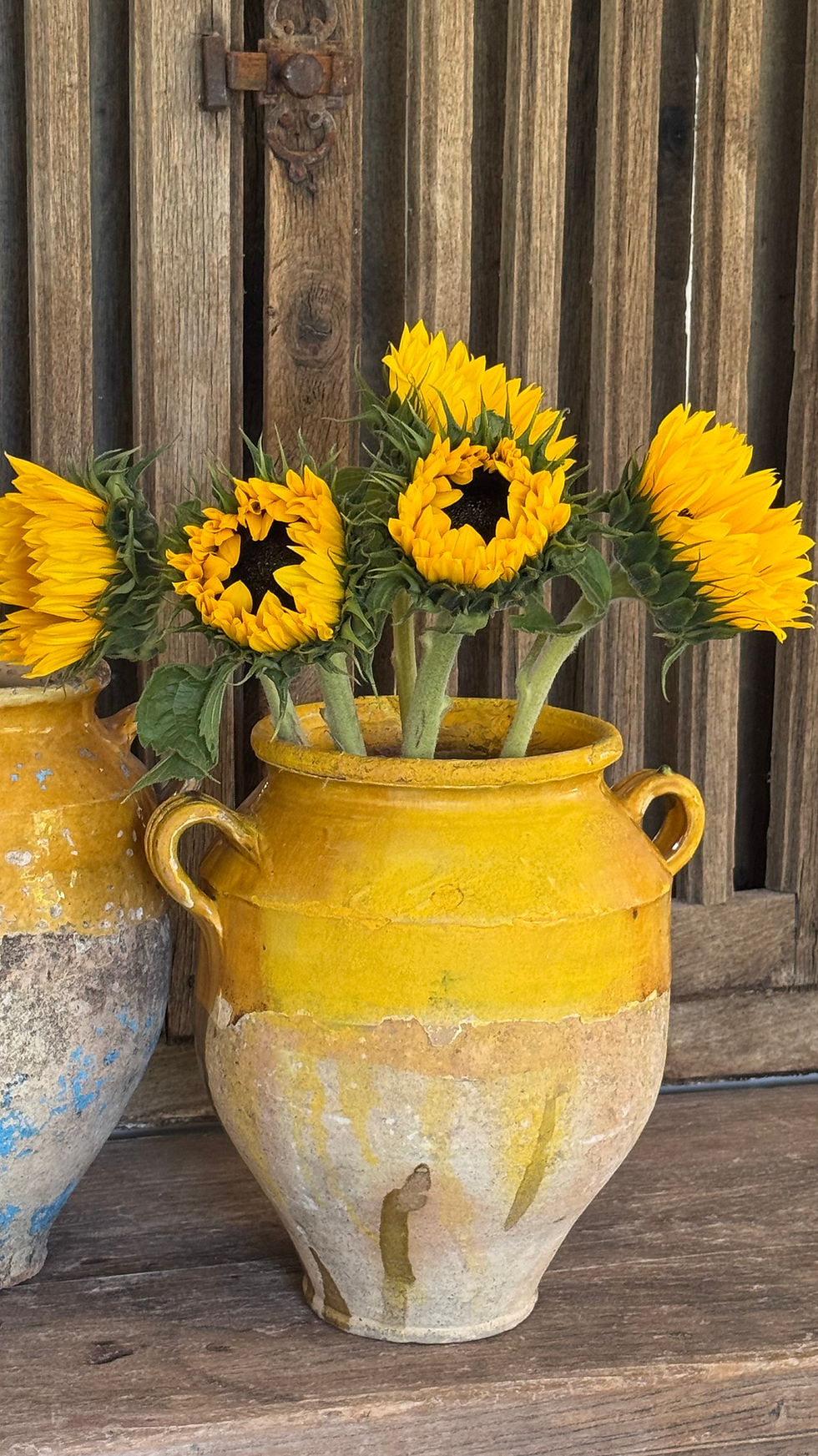 French Confit Pot