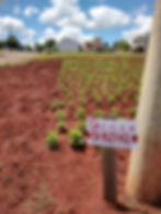 Terreno na esquina da Rua Prefeito Hartmann