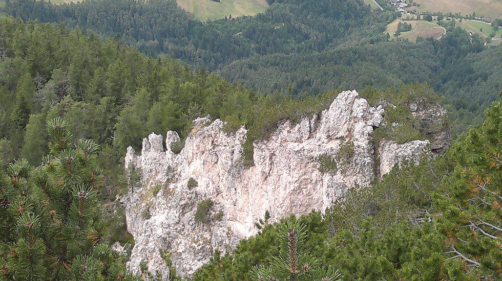 2015-07-26-1410.jpg
