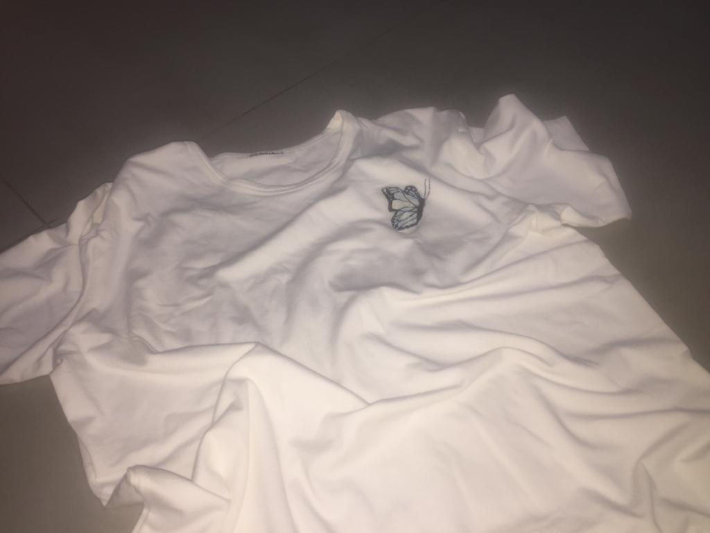 Aesthetic Butterflies?!