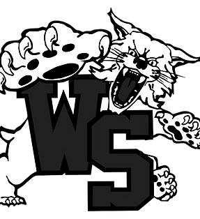 ws_cat_720_edited.png