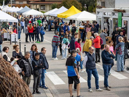 Piazza dei Sapori e Mostra Artigiana 2026: il meglio del Friuli Venezia Giulia vi aspetta a Rauscedo