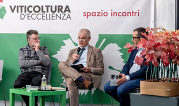 radicidelvino_241012_1357_edited.jpg