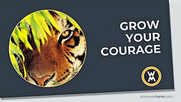 Jungle Cover_edited.jpg