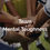 Thumbnail: Team Mental Toughness