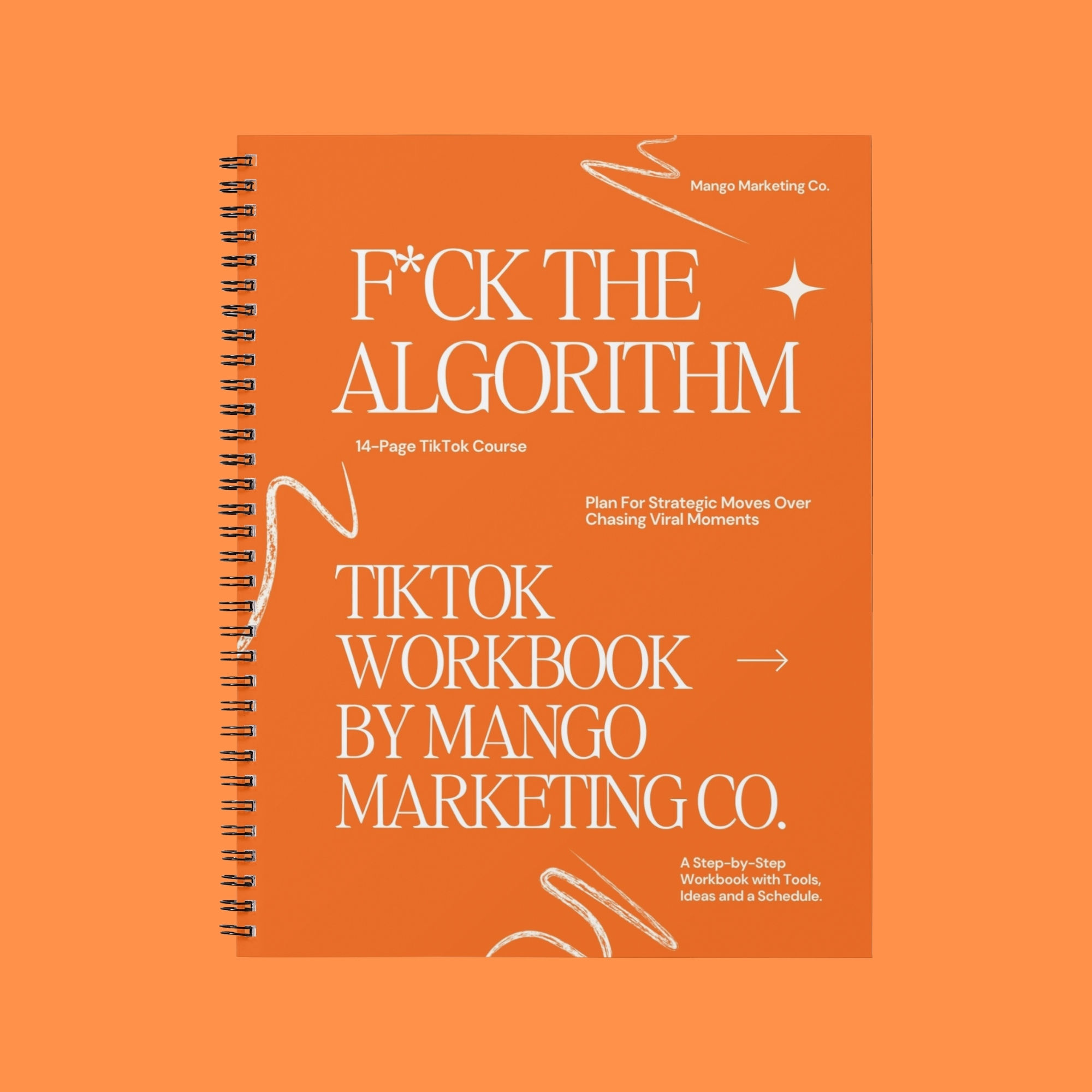 F*ck The Algorithm TikTok Workbook