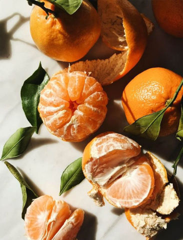 The Nutrition Tea