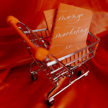 orange cart with mango marketing co written on a notebook 