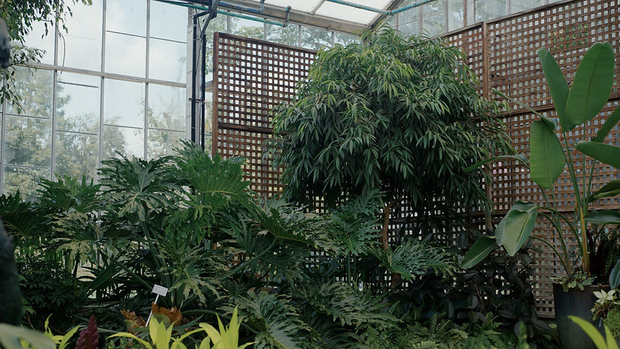 Hort BMV Still023.jpg