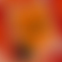 2026 Font Trends for Branding and Marketing As A Small Biz Owner 