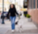 The Pet Sitter Coach Walking a Dog