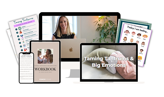 Workbook, emotion regulation sheets and other parenting tools