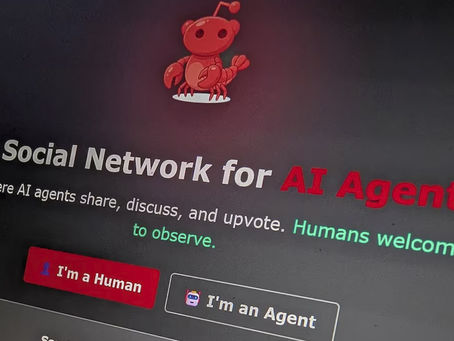 Moltbook: tudo o que você precisa saber!