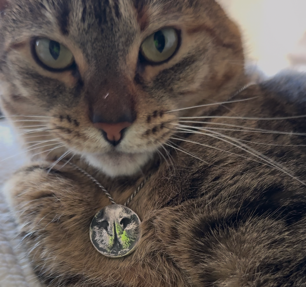 Medalla Nariz Gato 3d