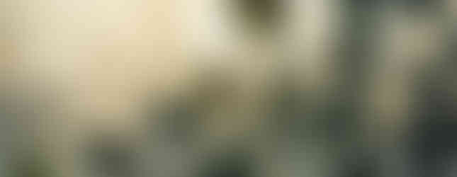 Kommunalfriedhof Sbg minus 10 Grad Celsius 