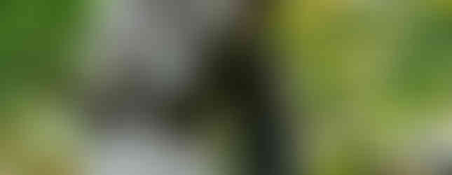 Cimitero Monumentale Milano