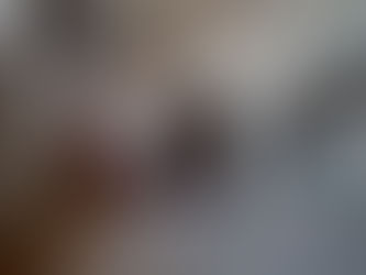 Die Katakomben von St. Peter, Maximuskapelle