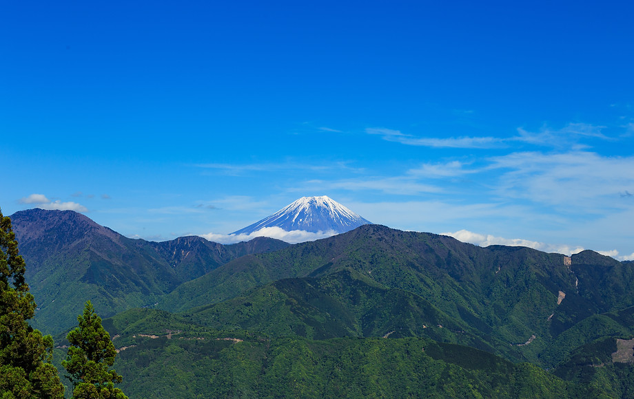 山梨 身延山からの風景