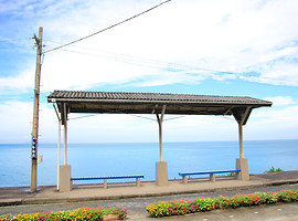 愛媛 サムネイル