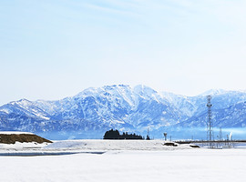 新潟 サムネイル