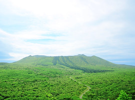 伊豆大島 サムネイル