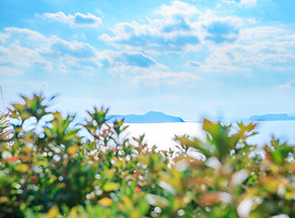 淡路・瀬戸内 サムネイル