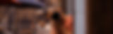 _MG_6988_cleanBanner.jpg
