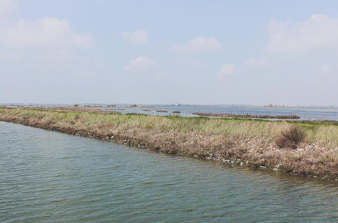 Valli di Comacchio