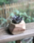 Succulent Planter