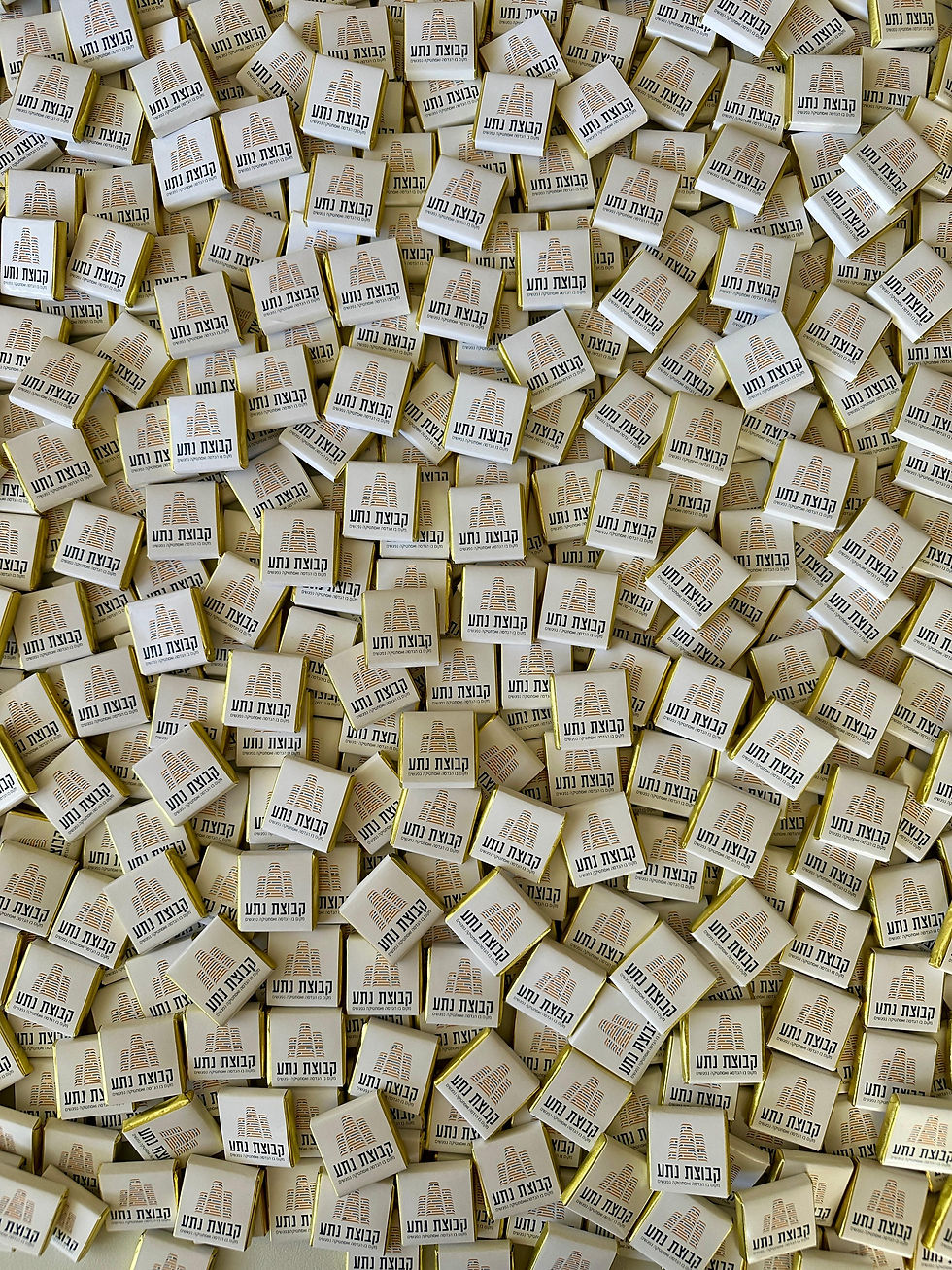 תמונה ממוזערת: שוקולד מרובע ממותג (1 יח')