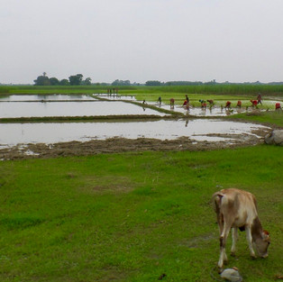 Dispensing hope amidst the rains