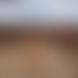 Maasai manyatta visit, August 2024