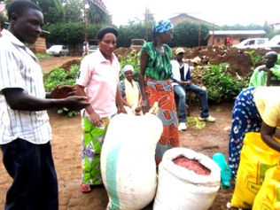 Grace & Hope In Bukavu