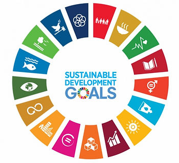 Do you know all 17 #SDGs ? https://youtu.be/0XTBYMfZyrM