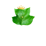 LYRA Logo Golden Heart (2).png