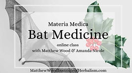 Bat Medicine (2).jpeg
