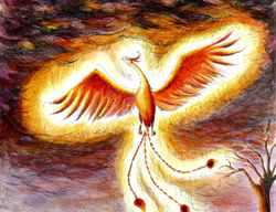 Phoenix 1.jpg