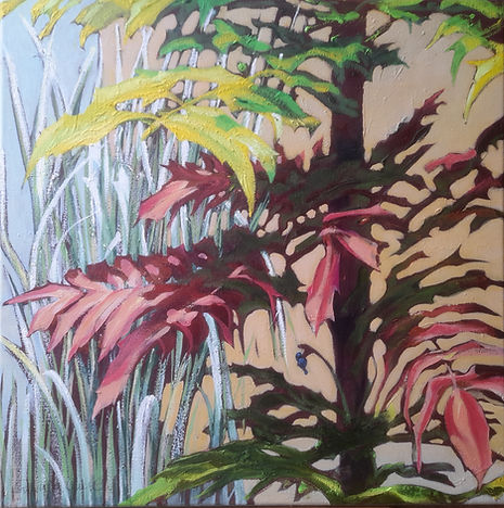 Zebra grass ans mahonia