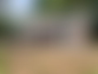 Week 9: Down to the Wire