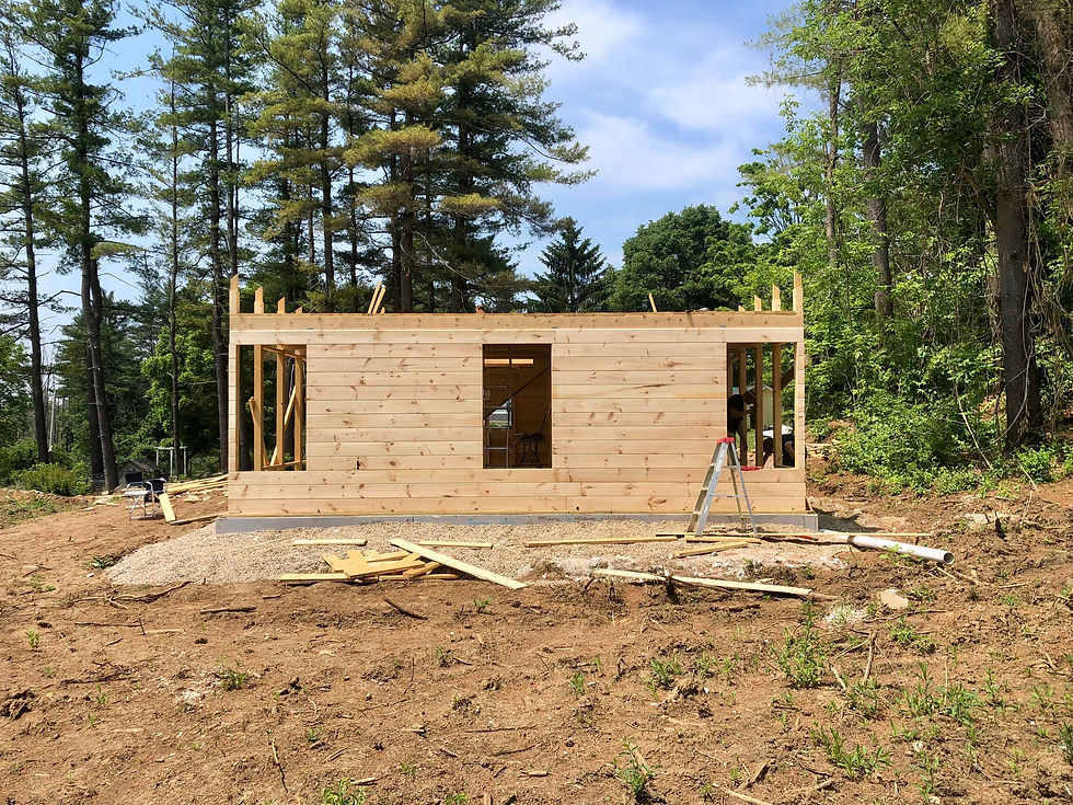 The east side of the house - den to the left, master bedroom to the right