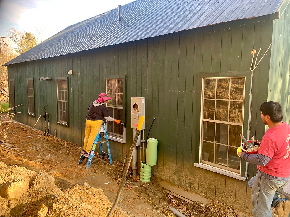 All 23 windows and 4 exterior doors got dark green trim paint