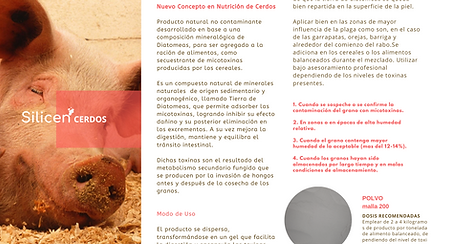 SILICIEN ALMACENAMIENTO GRANOS-3.png