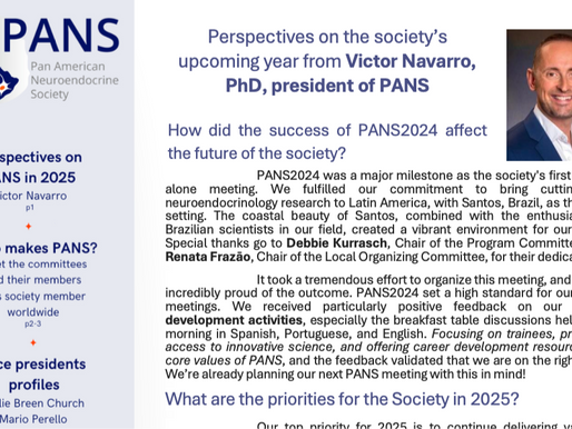 Newsletter - December 2024