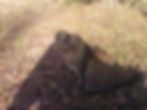 CAM01147.jpg
