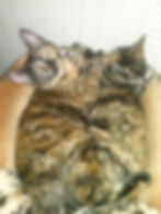 CAM00114.jpg