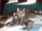 100_6760.JPG