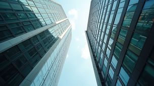 Unlocking Vietnam's Software Development Potential