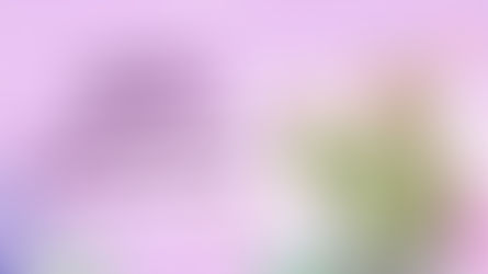 From Kitchen to Table: Must-Have Appliances for an Easy Ramadan!